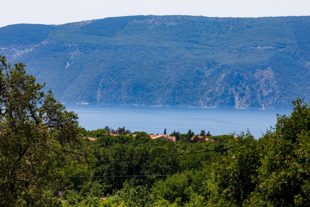 House - Villa Skyline Skrbčići エクステリア 写真